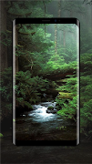 Deep Forest Wallpaper screenshot 5