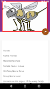 Animals Information ภาพหน้าจอ 4