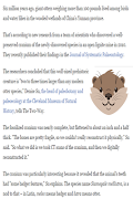 Otter screenshot 1