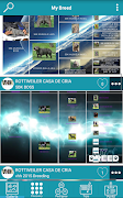 Poster My Breed