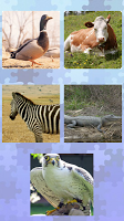 Smart Picture Puzzle اسکرین شاٹ 3