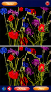 Spot the Hidden Objects скриншот 3