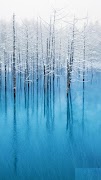 C5 Pro Wallpapers capture d'écran 6