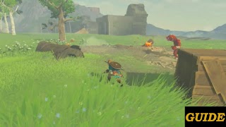 Guide Zelda Breath of the Wild ภาพหน้าจอ 2