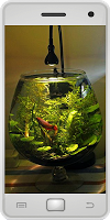 برنامه‌نما Fish Tank عکس از صفحه