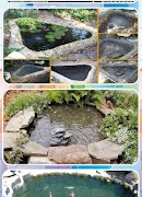 create a fish pond screenshot 6
