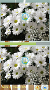 Tìm sự khác biệt Flower Games ảnh chụp màn hình 1
