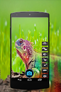 HD Camera Pro スクリーンショット 6