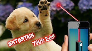 Laser Pointer: Dog Edition screenshot 1