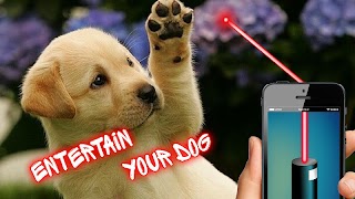Laser Pointer: Dog Edition screenshot 1