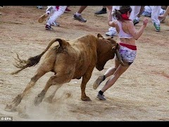 😍😀😆😄 Viral videos FREE😍😀😆😄 স্ক্রিনশট 1