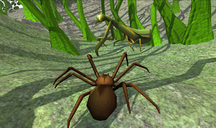 Spider Simulator capture d'écran 5