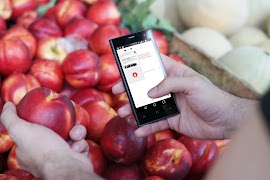 Fire Browser (Smart Browser) ภาพหน้าจอ 3