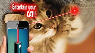 Laser Pointer: Cat Edition syot layar 1