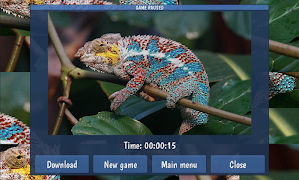 Tile Puzzles · Reptiles 截圖 2