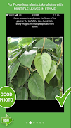 Guide For PlantSnap 스크린샷 4