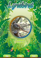 Lyrebird Singing capture d'écran 1