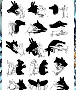 برنامه‌نما Making Hand Shadow Puppets عکس از صفحه