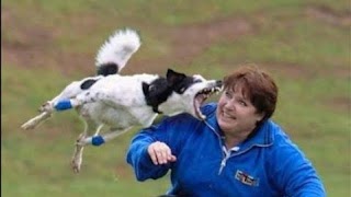 😍😂😉 Videos de humor 😍😂😉 captura de pantalla 2