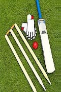 크리켓 포스터