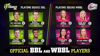 Big Bash Cricket screenshot 5