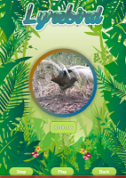 Lyrebird Singing screenshot 2