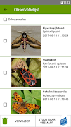 ObsIdentify - Papilionidae 스크린샷 2