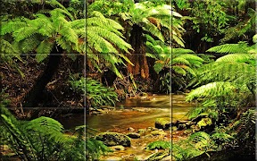 بازل - طبيعة الغابات تصوير الشاشة 5