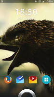 3d Eagle Live Wallpaper capture d'écran 2