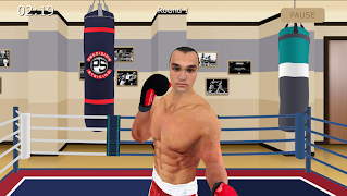 Virtual Sparring Partner screenshot 4