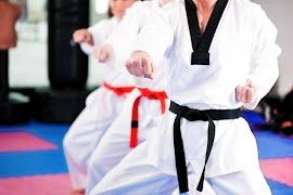 برنامه‌نما Learn Taekwondo عکس از صفحه