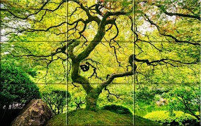 Puzzle - bos natuur-poster