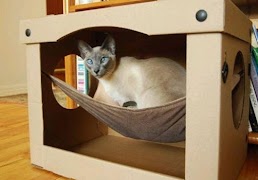 New Cat House screenshot 5