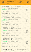 Numbers for sms verification screenshot 3