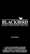 Blackbird โปสเตอร์