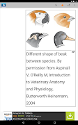 Veterinary Dictionary ảnh chụp màn hình 6