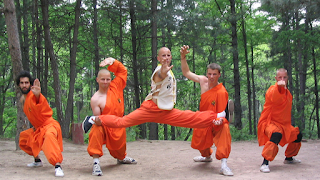Learn Kung Fu screenshot 5