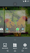 Love Birds Live Wallpaper تصوير الشاشة 7