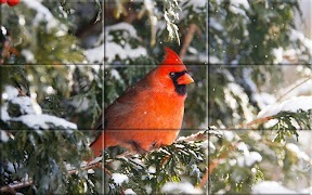 Puzzle - Birds screenshot 6