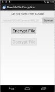 Blowfish File Encryption پوسٹر