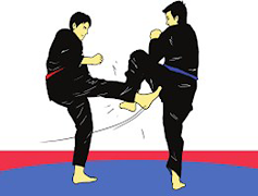 完成pencak silat學習 截圖 3