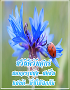 4 Schermata สวัสดียามเช้า  รูปภาพสวัสดี