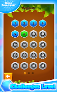 Mega Hexa Puzzle capture d'écran 6