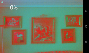 Infrared vision camera screenshot 1