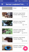 German Longhaired pointers screenshot 2
