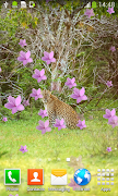4 Schermata live wallpapers leopardo