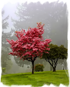 Spring Trees Puzzle पोस्टर
