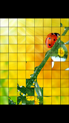 2 Schermata Puzzle coccinella
