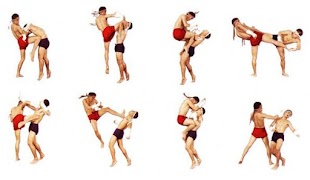 برنامه‌نما Fighting Techniques عکس از صفحه