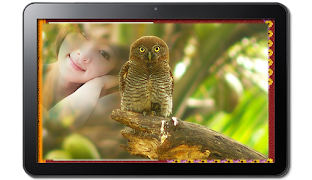 Jungle Photo Frames screenshot 7